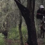 Brandon Semenuk Hits a Flowy Slopestyle Trail in the Woods Raw 100