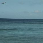 Drone Surfing Hawaii
