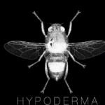 “HYPODERMA “ by Gnarcolate