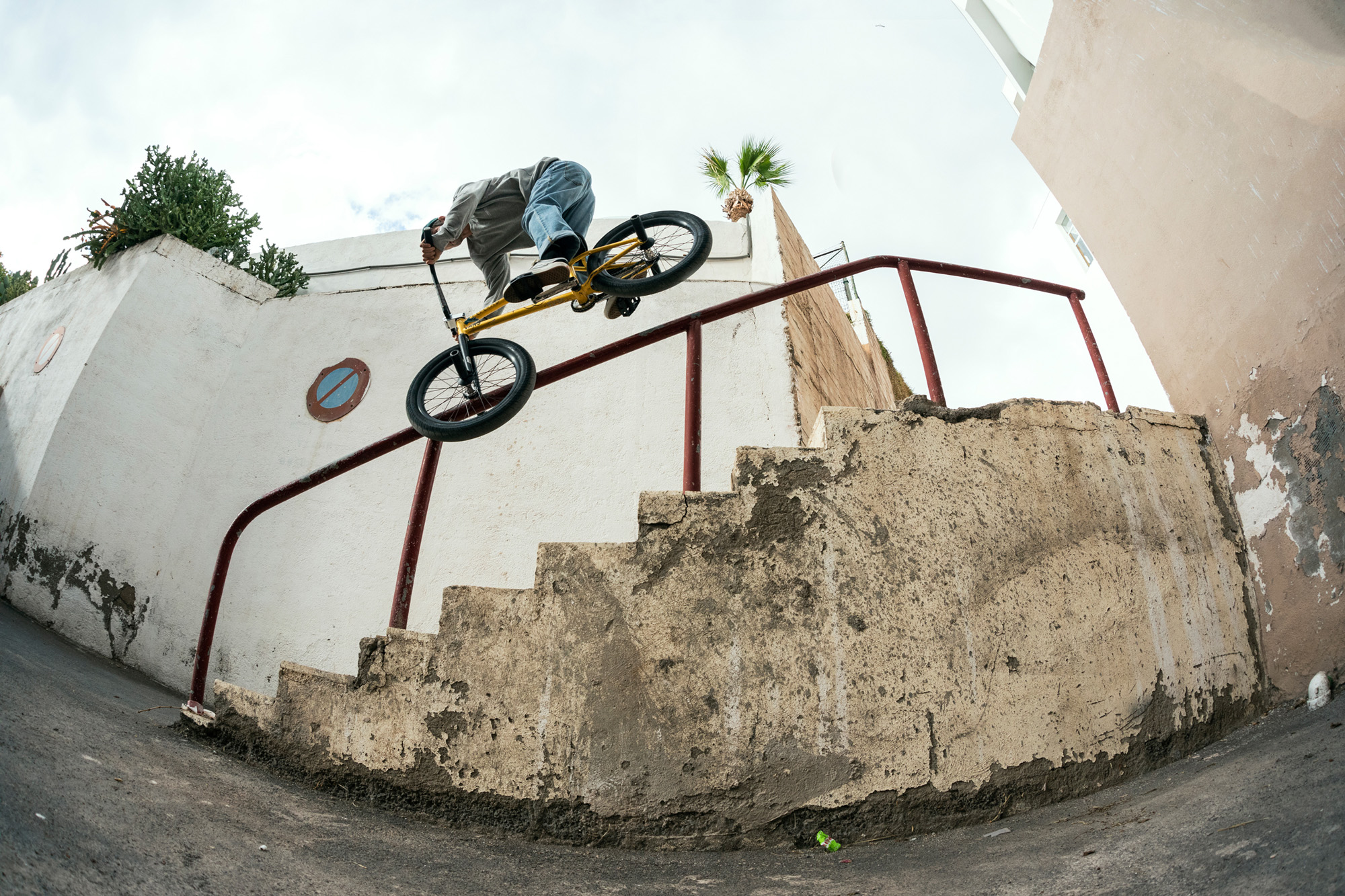 SP21_BMX_Federal_SpeedDial_ANTHONY_OVER_TOOTH_GRADED